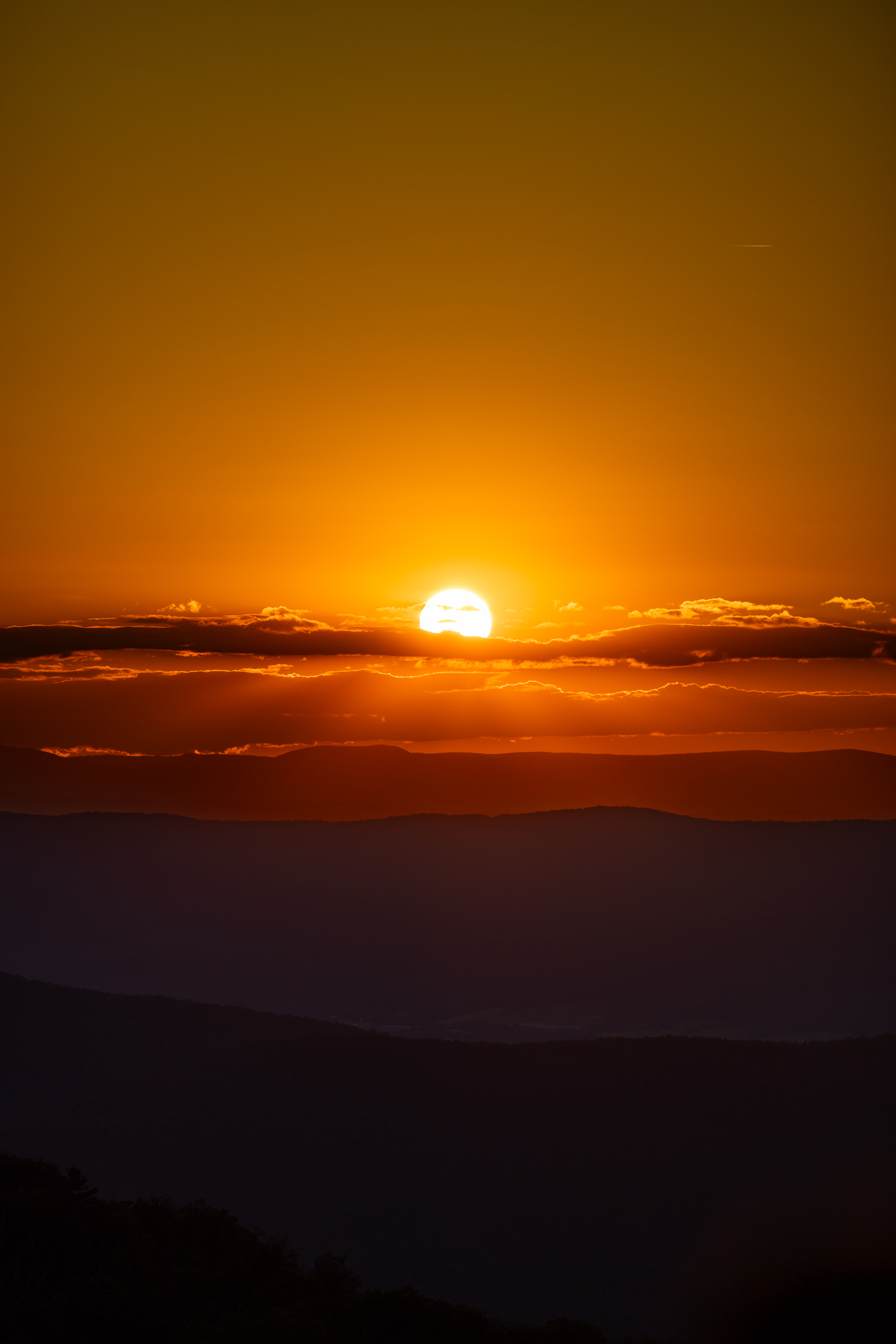 Landscapes photo 5