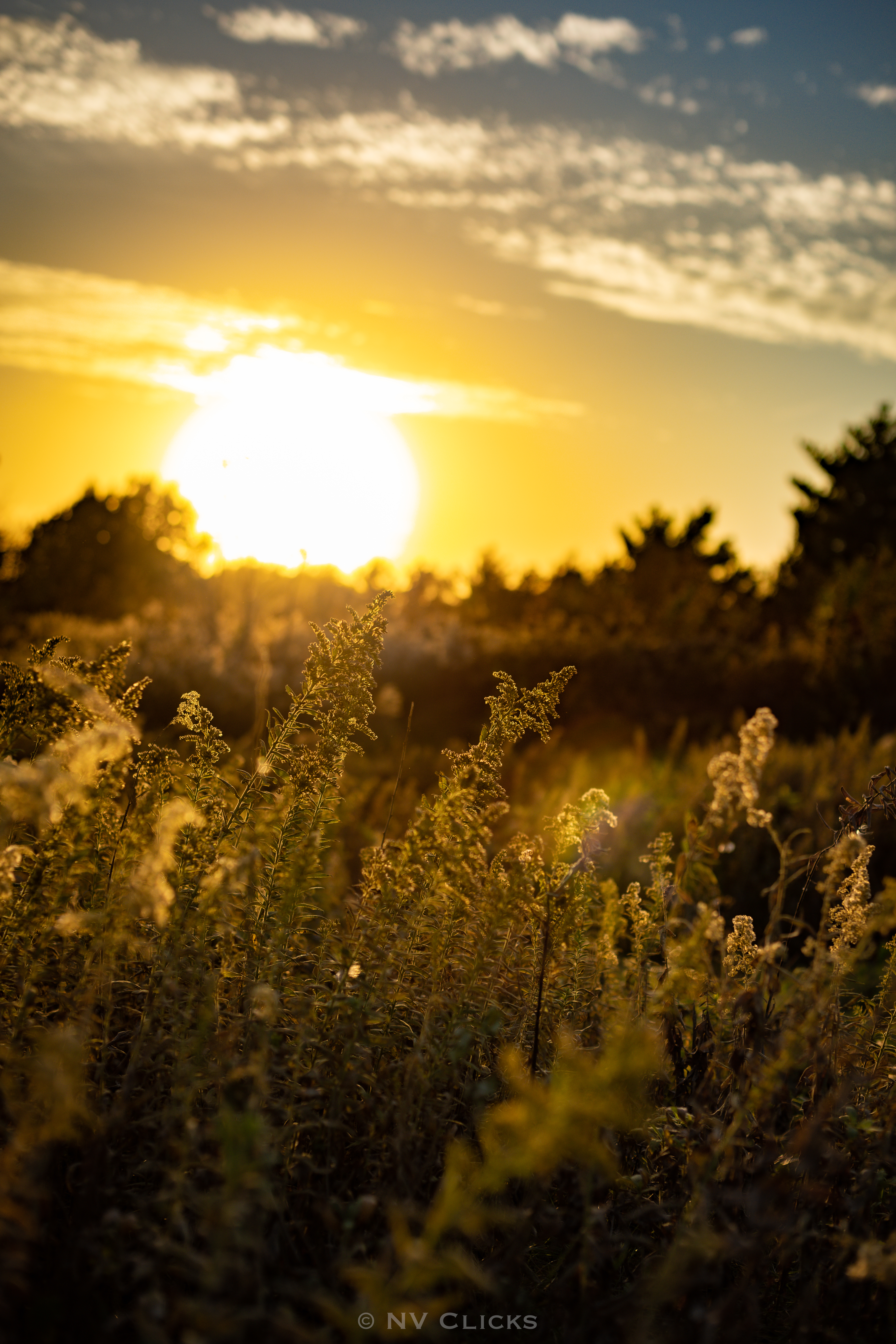Landscapes photo 6